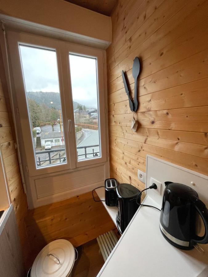 Appt Lumineux Centre Ville Du Mont Dore Vue Sancy Екстер'єр фото